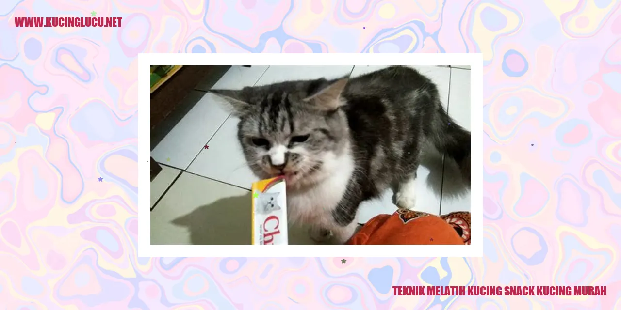 Teknik Melatih Kucing snack kucing murah