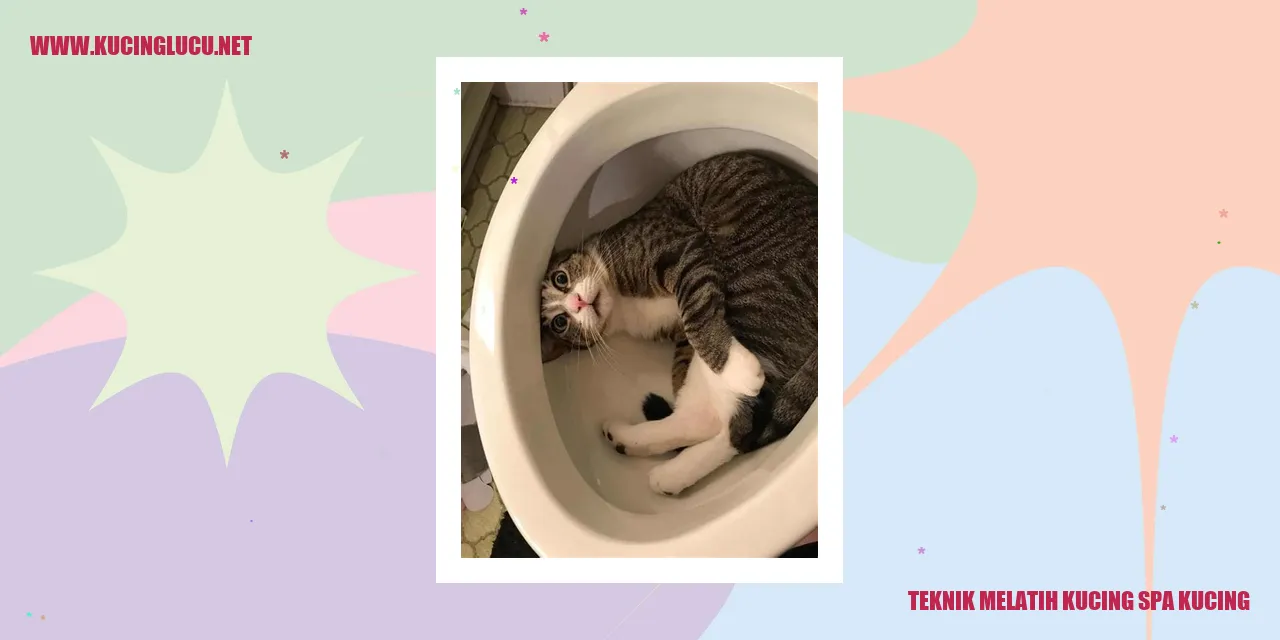 Spa Kucing