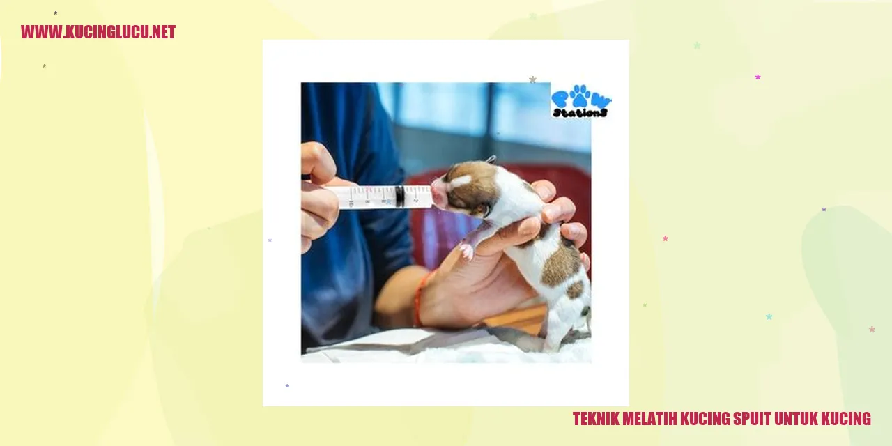 Gambar Kucing Menggunakan Spuit