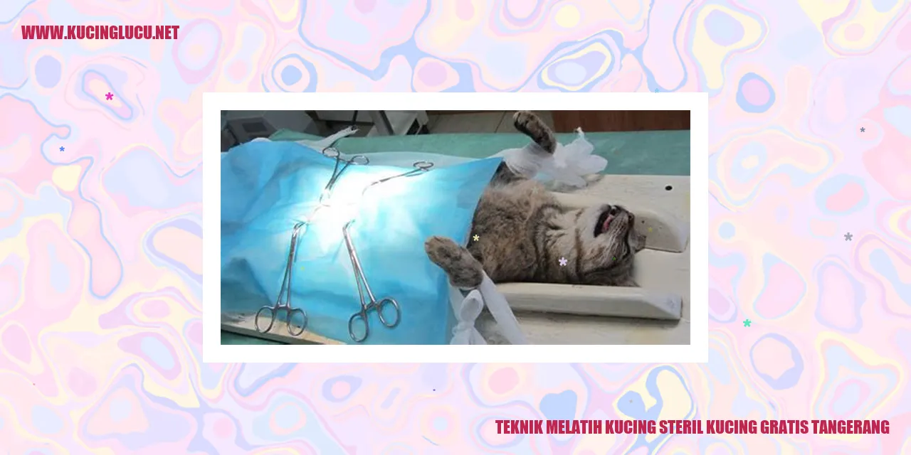 Kucing Steril Gratis di Tangerang