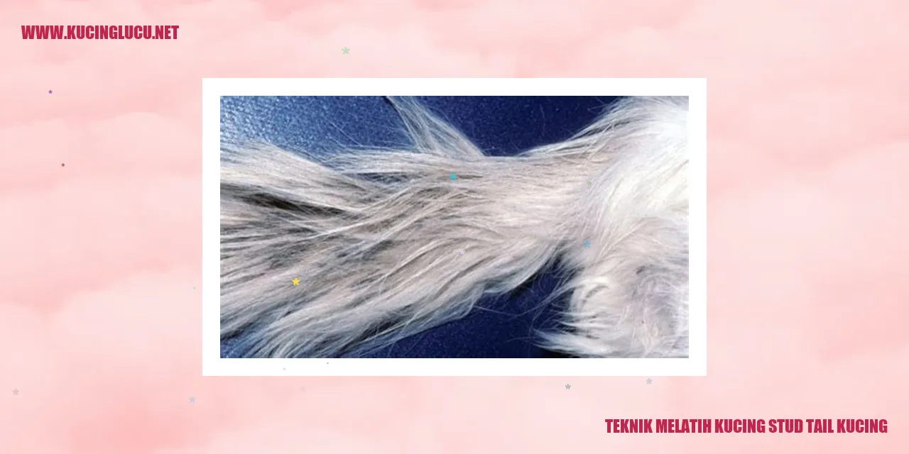 Teknik Mengatasi Masalah Stud Tail pada Kucing