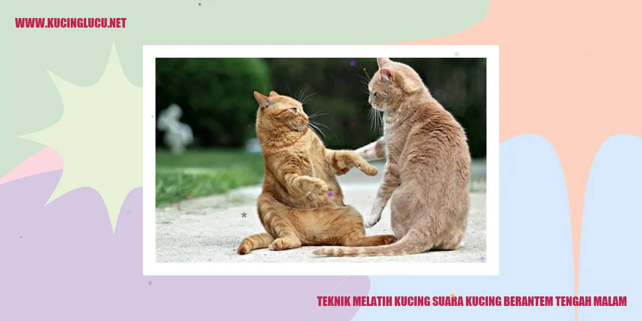 Gambar Kucing Berantem