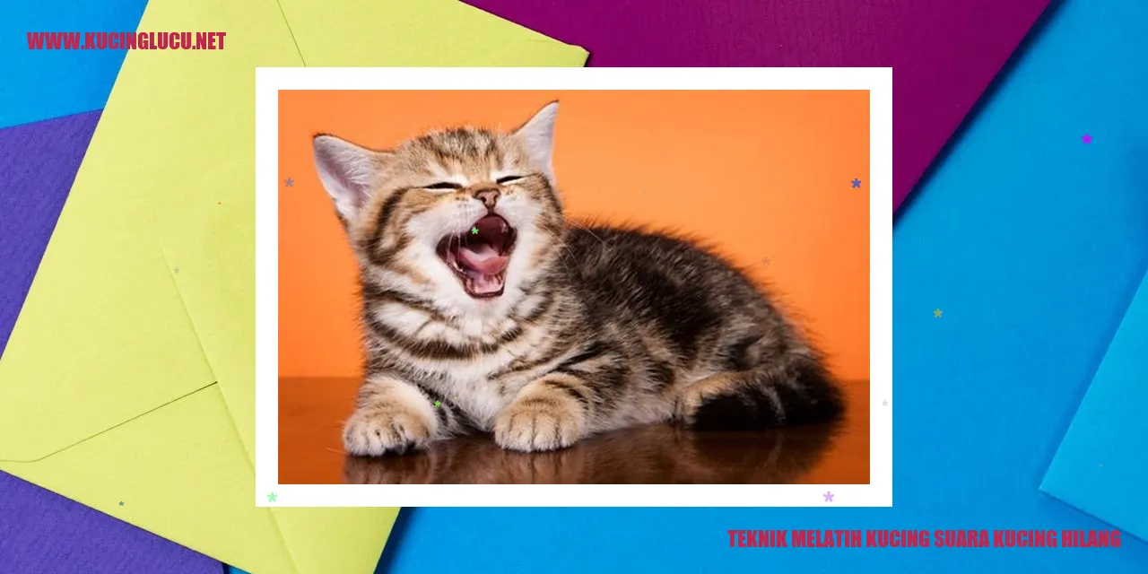 Melatih Kucing