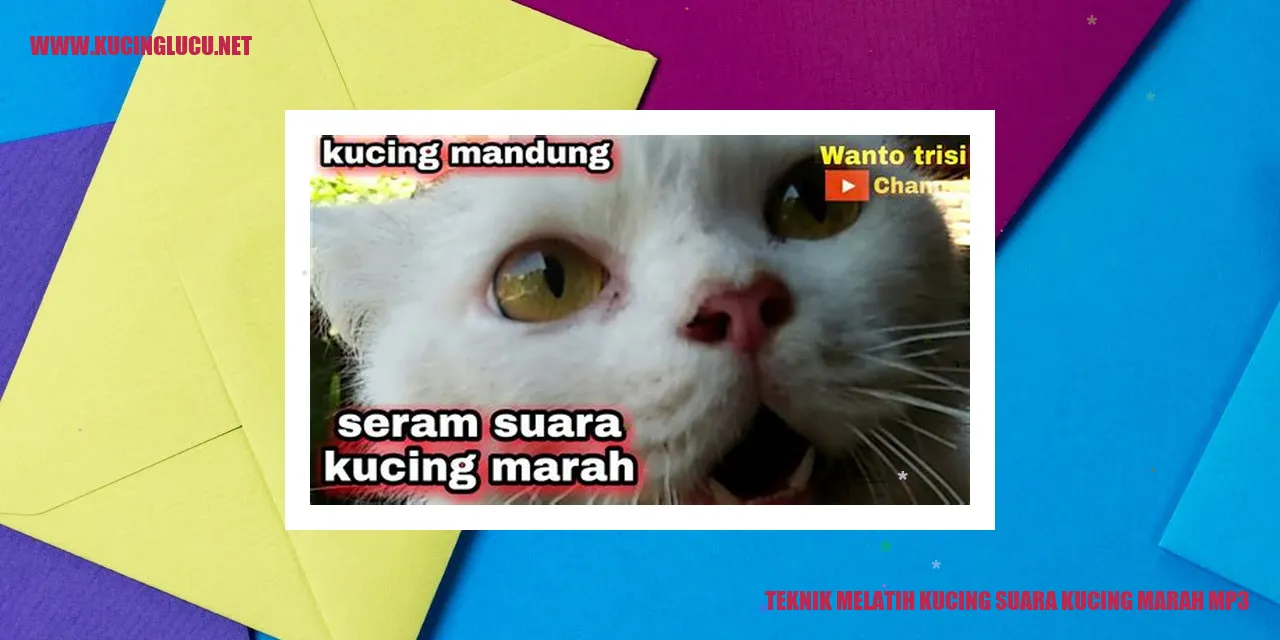 Teknik Melatih Kucing suara kucing marah mp3