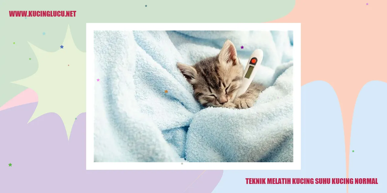 Gambar kucing dengan suhu tubuh normal