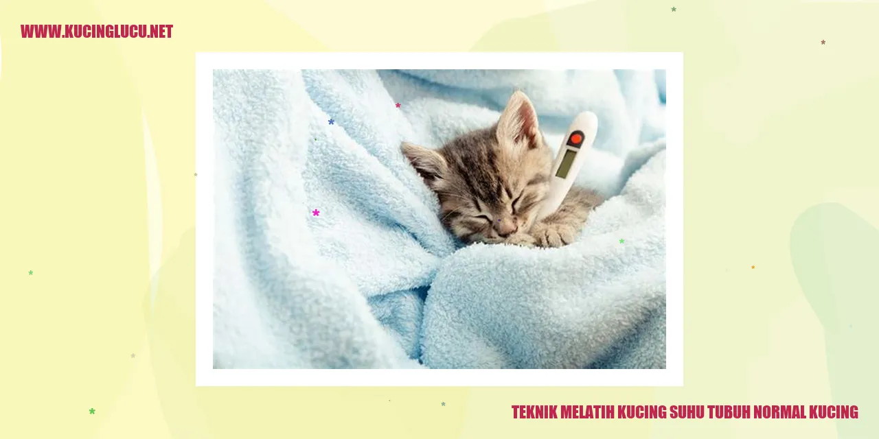gambar kucing