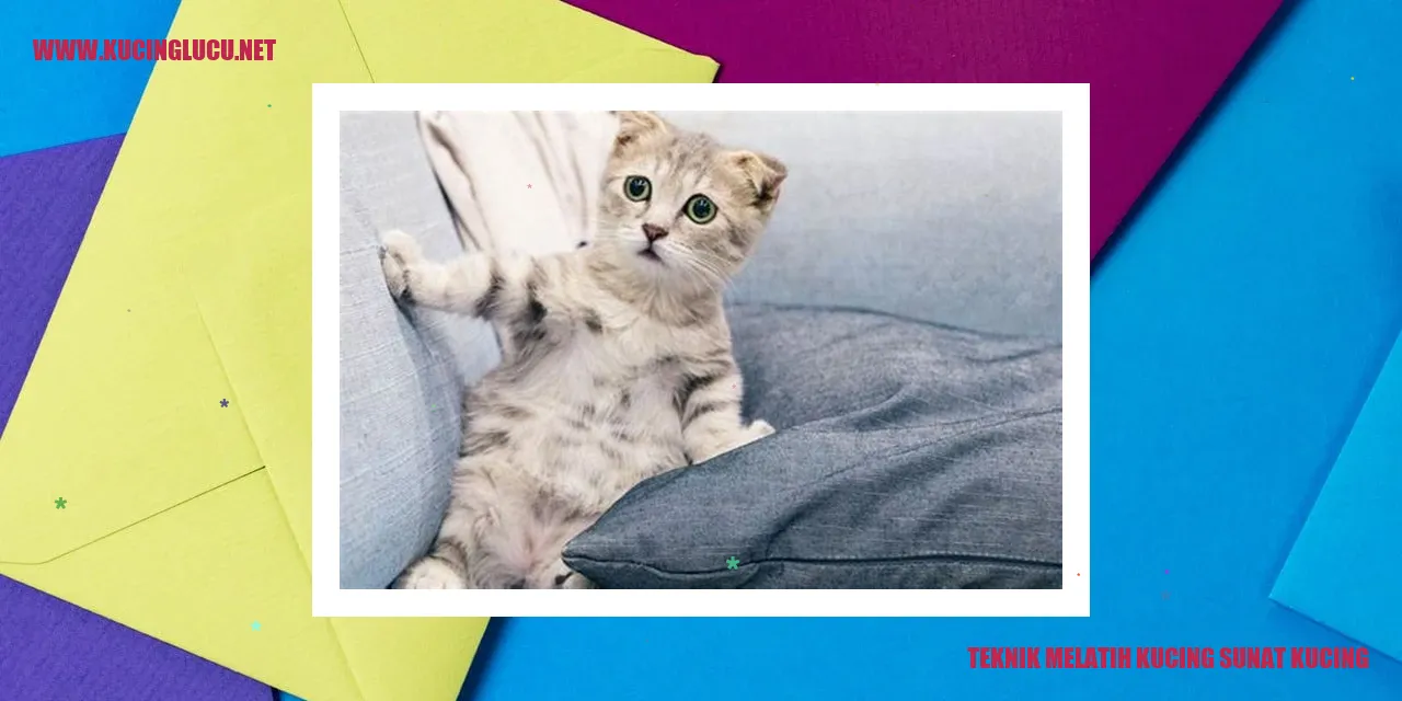 Gambar Kucing