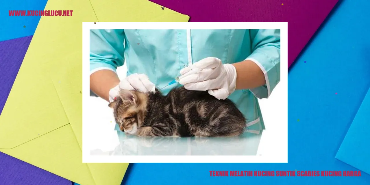 Teknik Melatih Kucing suntik scabies kucing harga