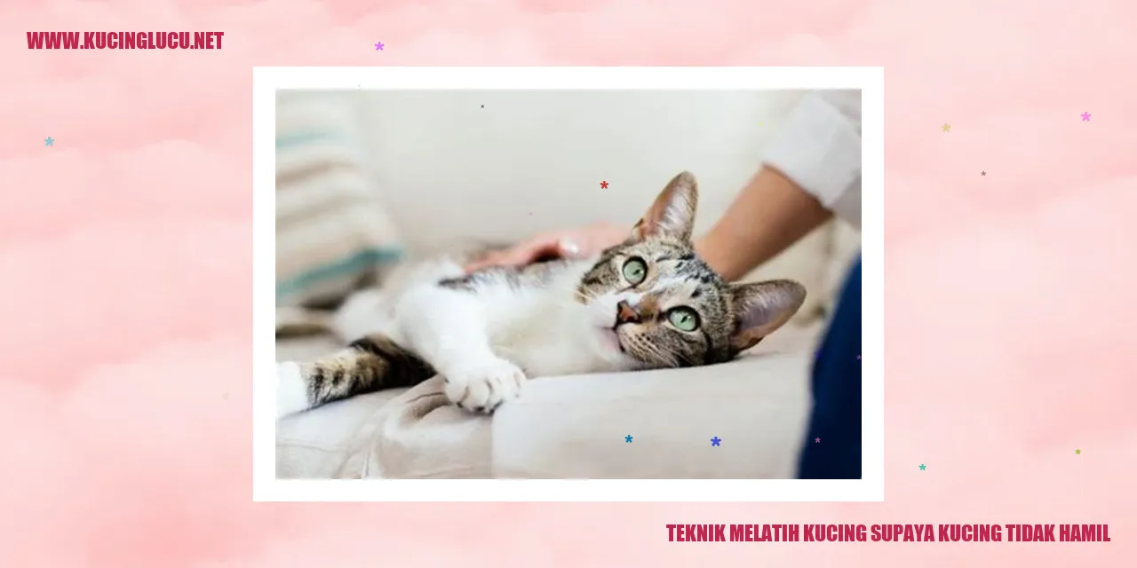 Gambar Kucing
