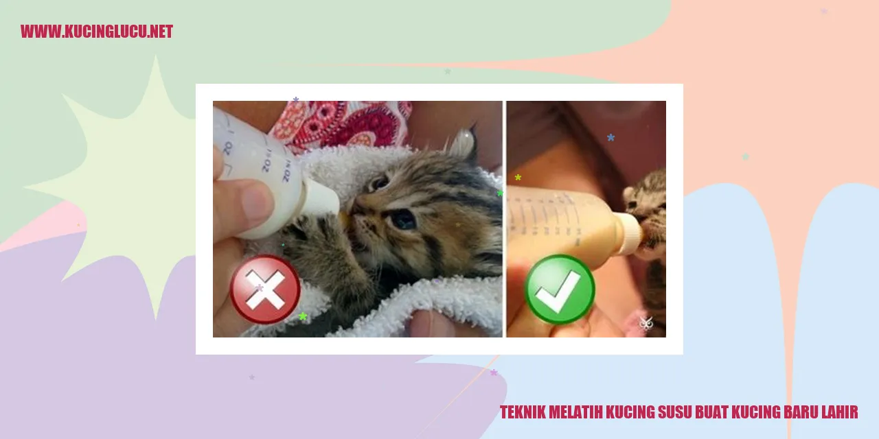 Teknik Melatih Kucing Susu untuk Kucing Baru Lahir