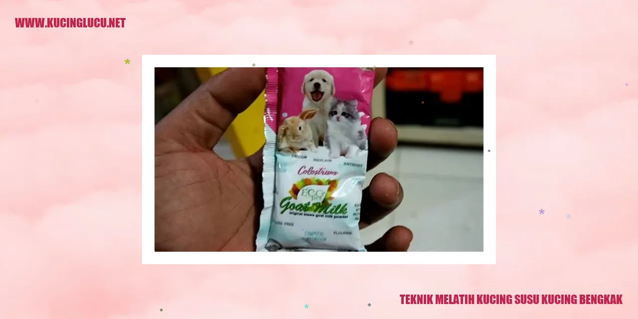 Melatih Kucing