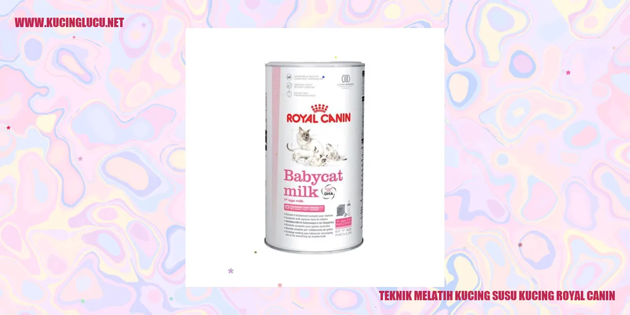 Gambar Kucing Royal Canin