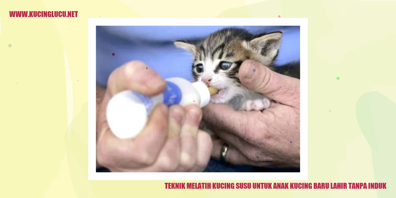 Gambar anak kucing baru lahir