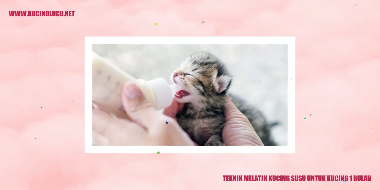 Melatih Kucing Susu Usia 1 Bulan