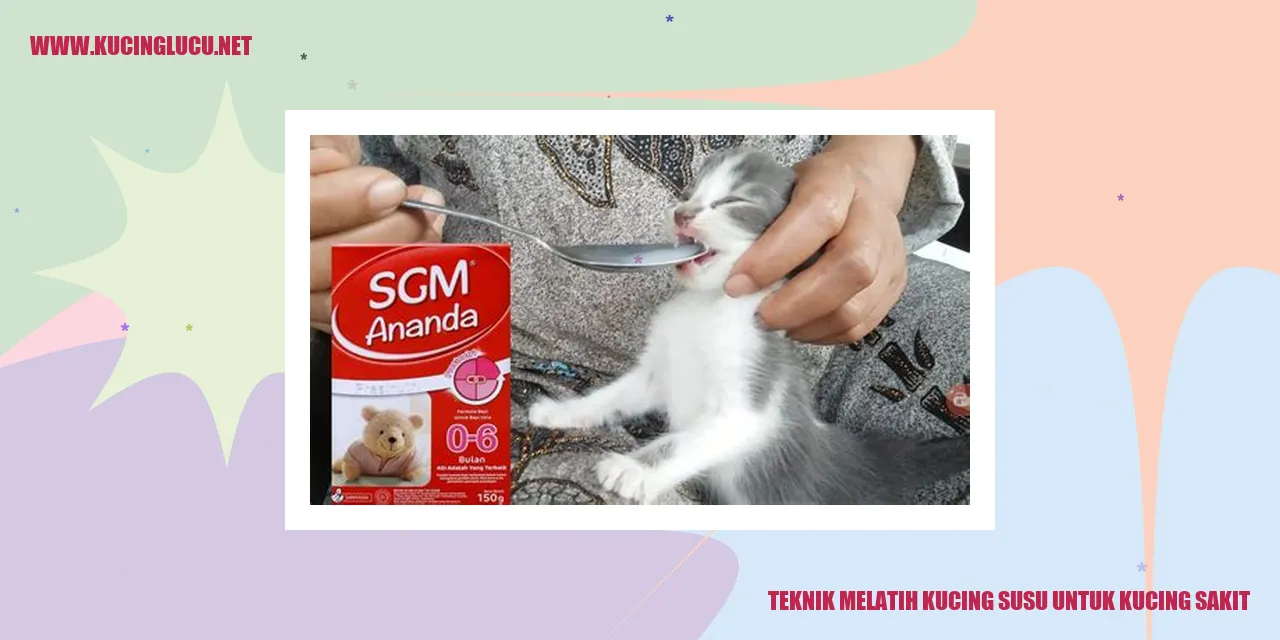 Teknik Melatih Kucing Susu untuk Kucing Sakit