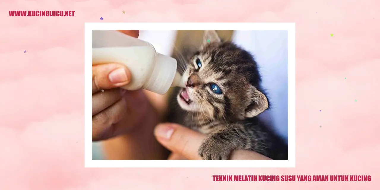 Gambar Kucing Minum Susu
