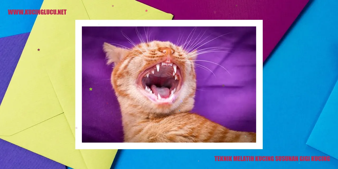 Melatih Kucing agar Terbiasa dengan Susunan Gigi