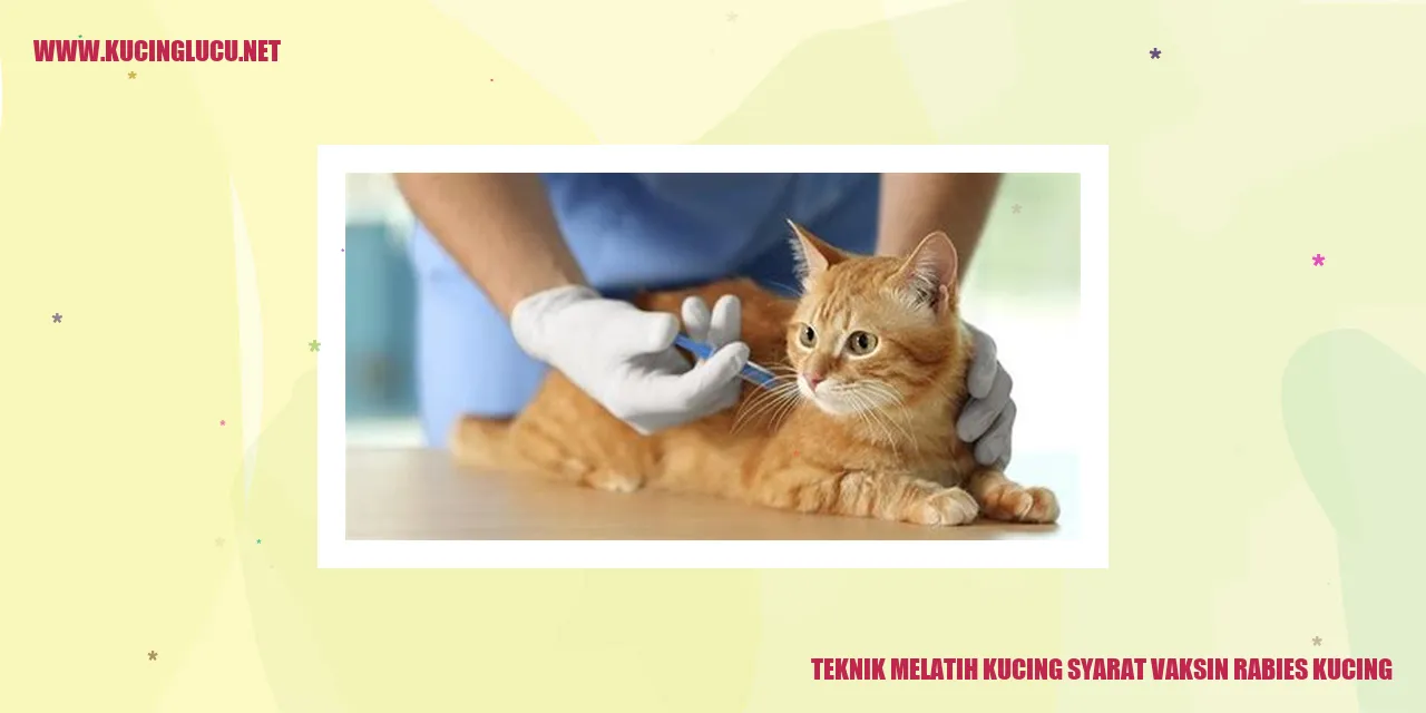 Teknik Melatih Kucing syarat vaksin rabies kucing