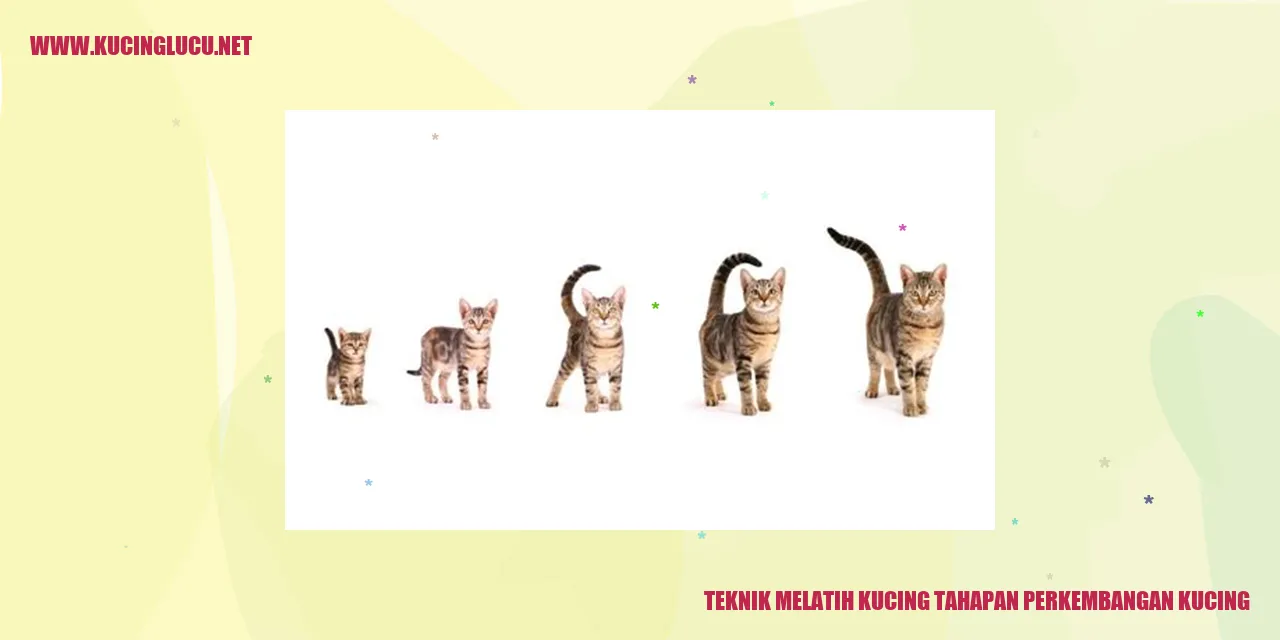Kucing dalam tahapan perkembangan
