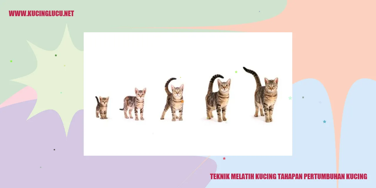 Teknik Melatih Kucing tahapan pertumbuhan kucing