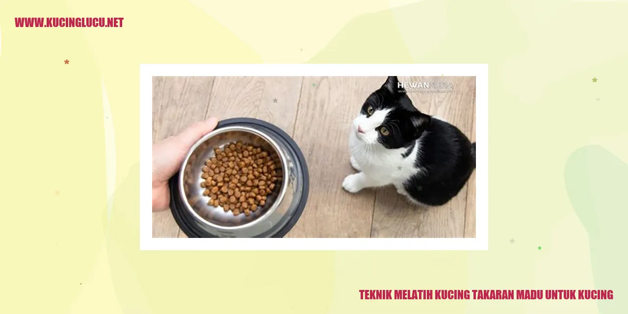 Image: Teknik Melatih Kucing takaran madu untuk kucing