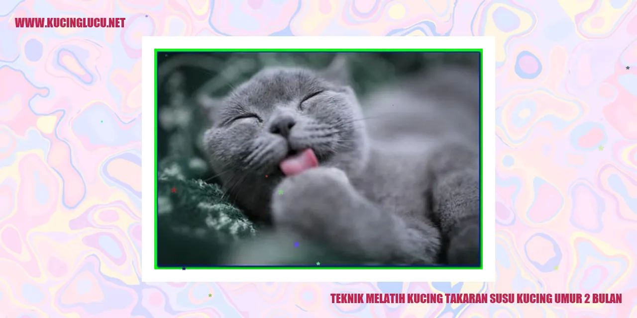 Gambar Kucing Menggemaskan