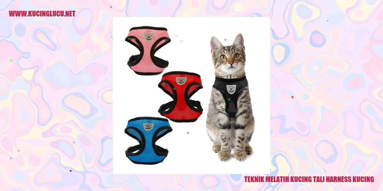 Gambar seekor kucing sedang menggunakan tali harness