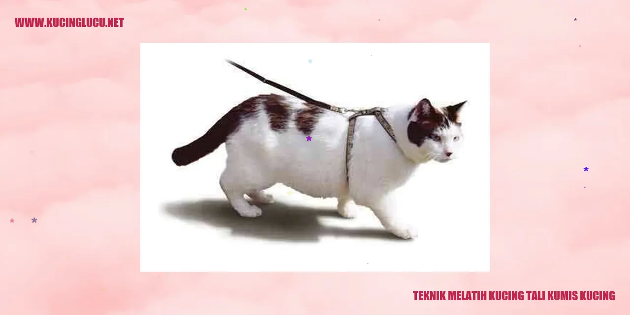 Kucing yang Menggemaskan