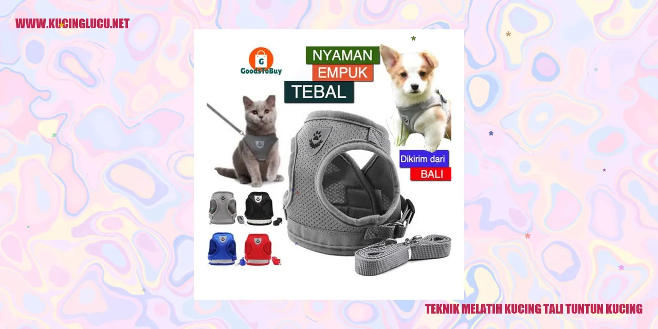 Melatih Kucing Tali Tuntun Kucing