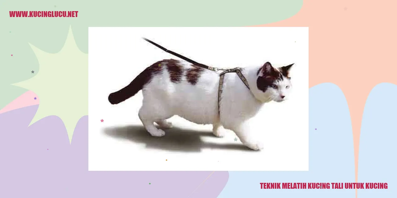 kucing dengan tali
