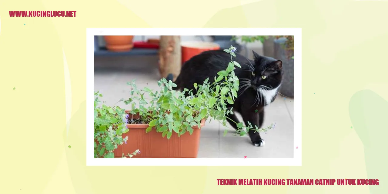 Gambar Kucing dengan Tanaman Catnip