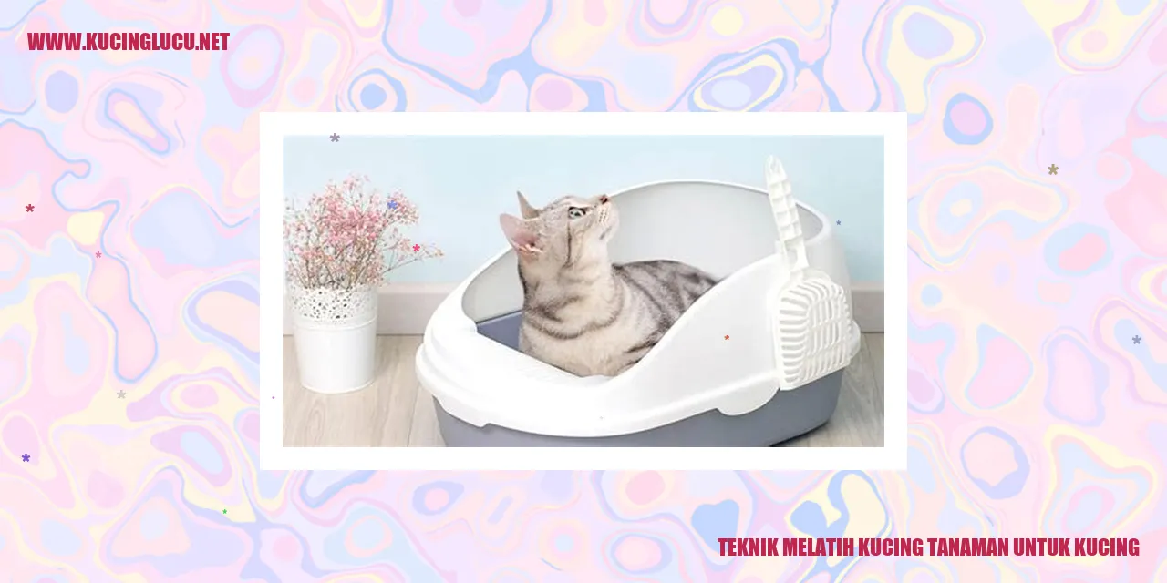 Teknik Melatih Kucing tanaman untuk kucing