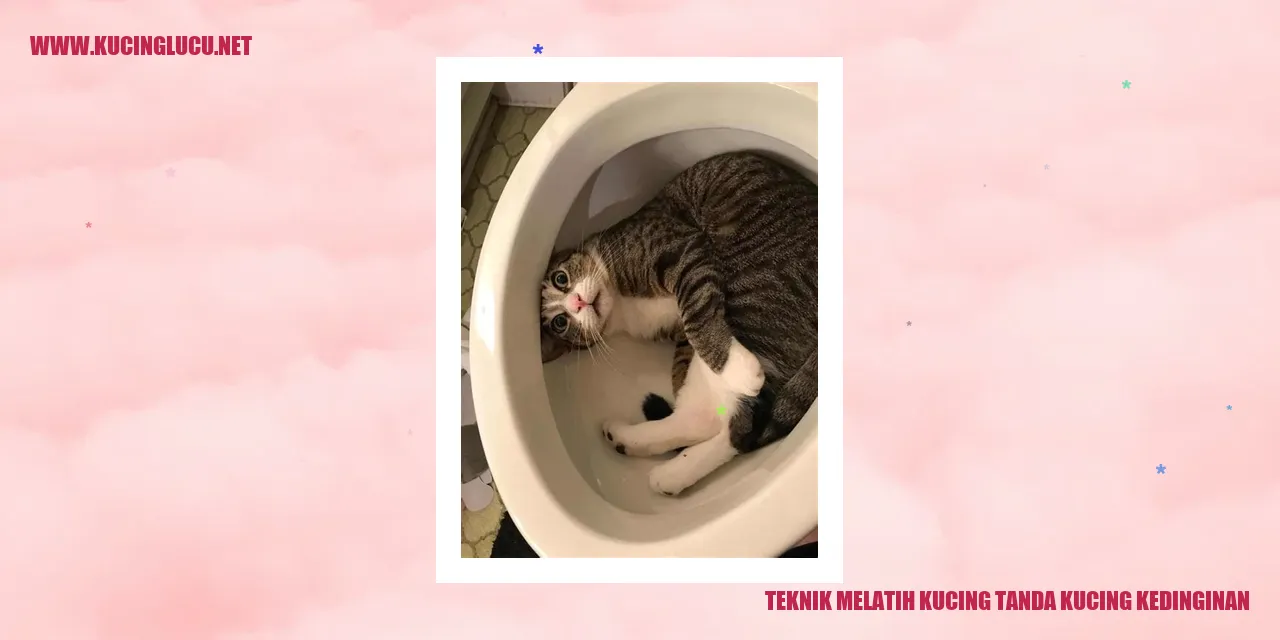 Ilustrasi Kucing Menggigil