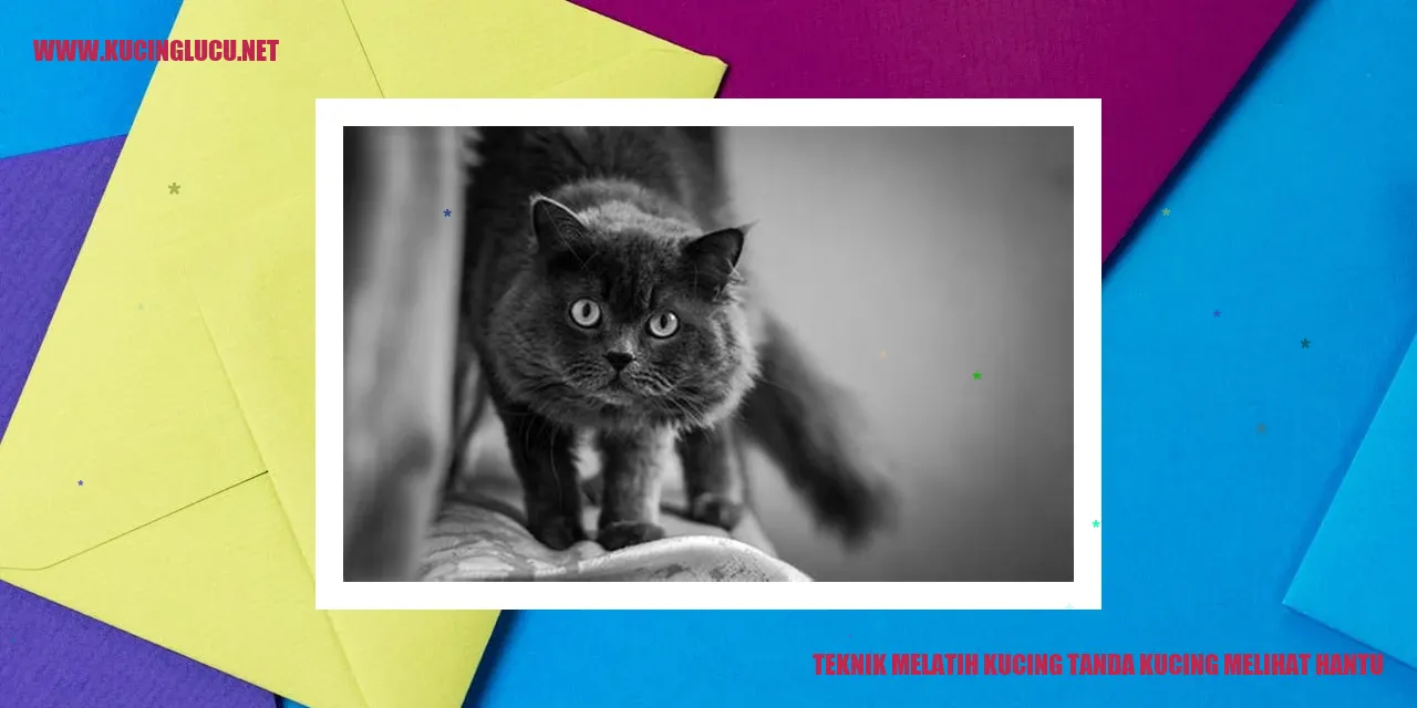 Kucing Melihat Hantu