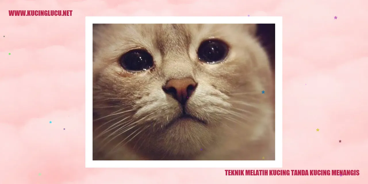 Gambar Kucing Menangis