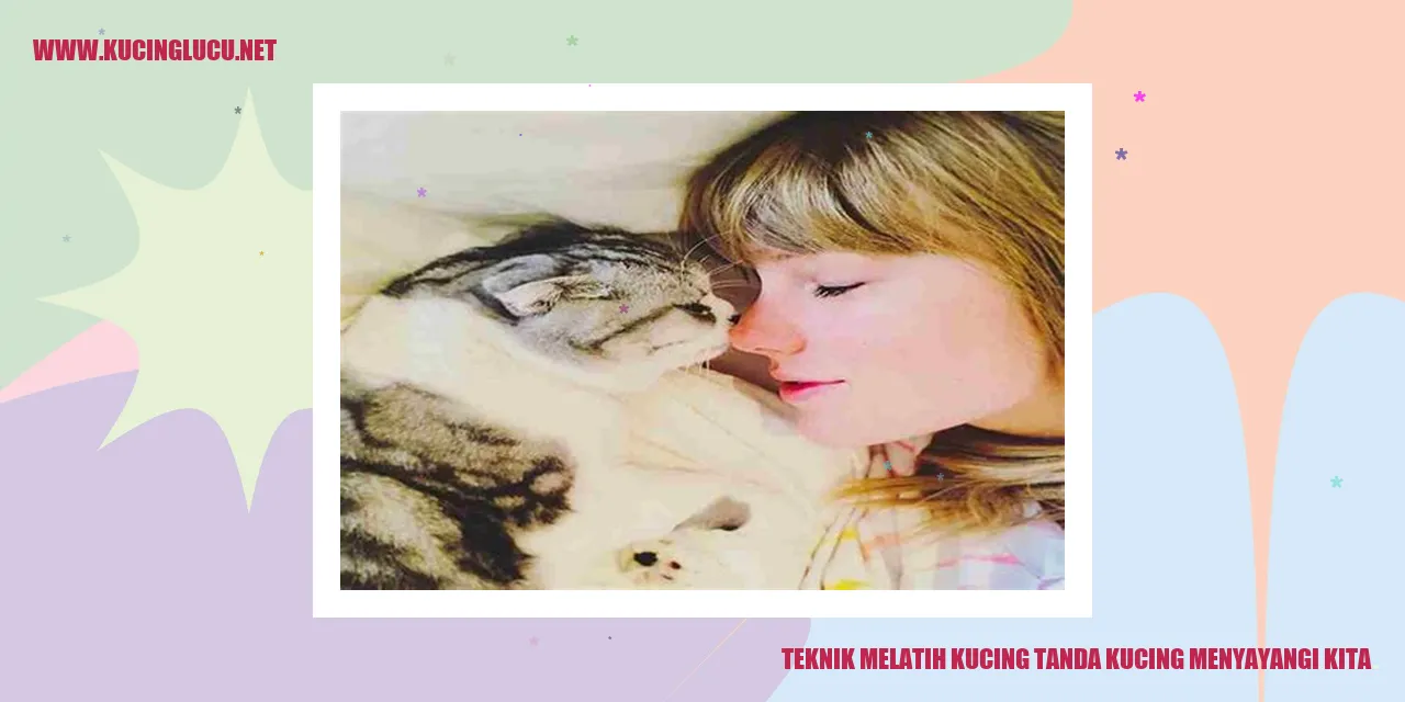 Kucing menunjukkan rasa sayang