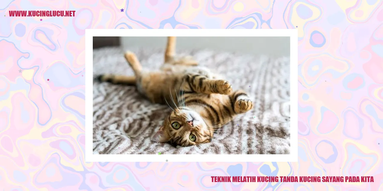 kucing sayang pada kita