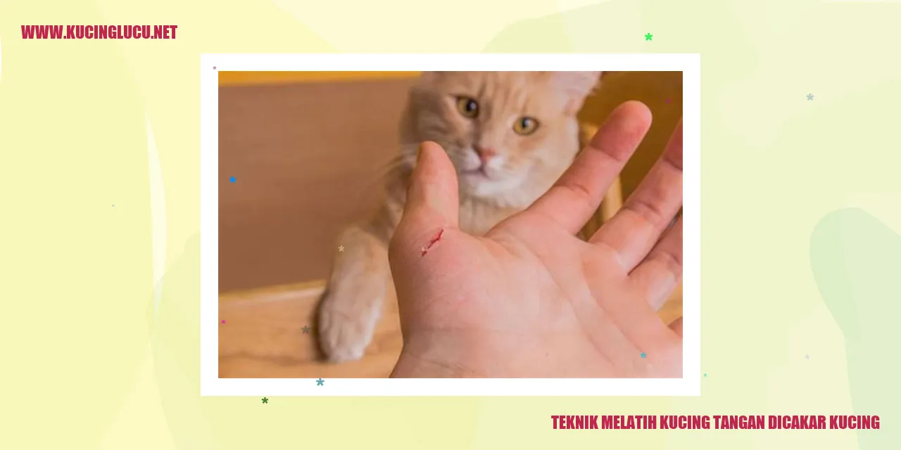 Gambar Kucing