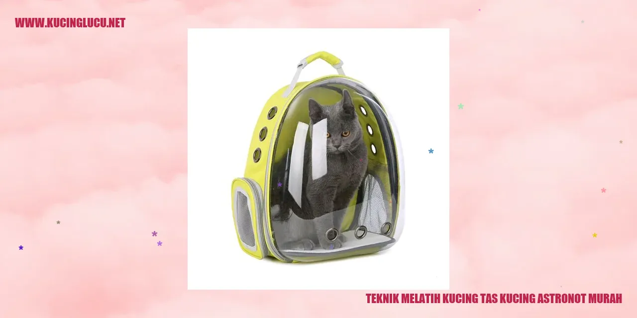 Kucing Astronot