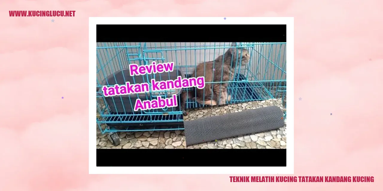kucing menggunakan tatakan kandang