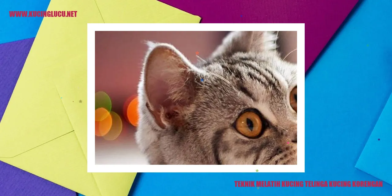 Melatih Kucing Telinga Korengan