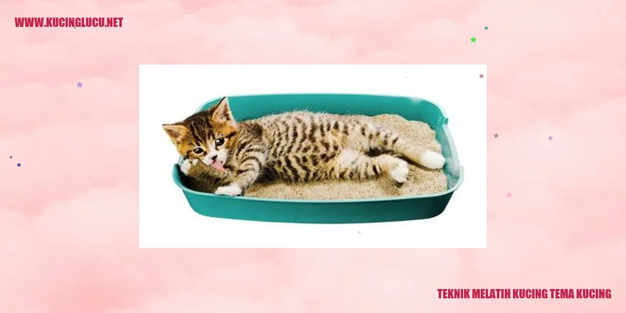 Teknik Melatih Kucing