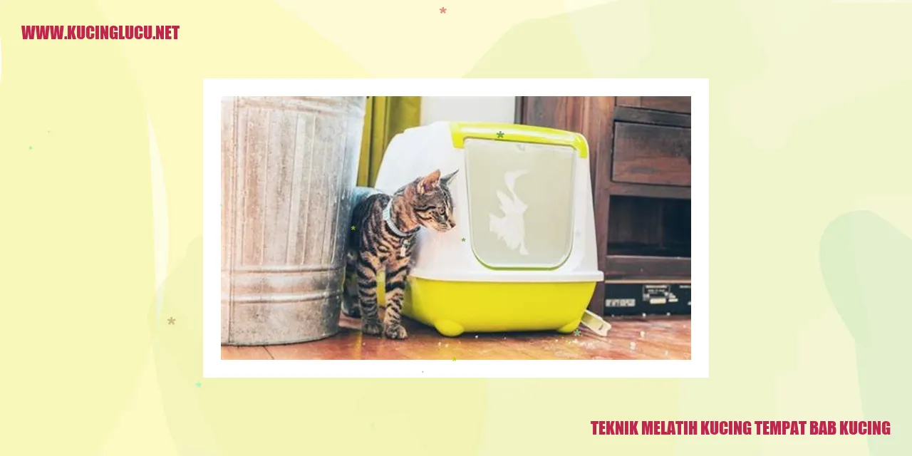 Teknik Melatih Kucing tempat bab kucing