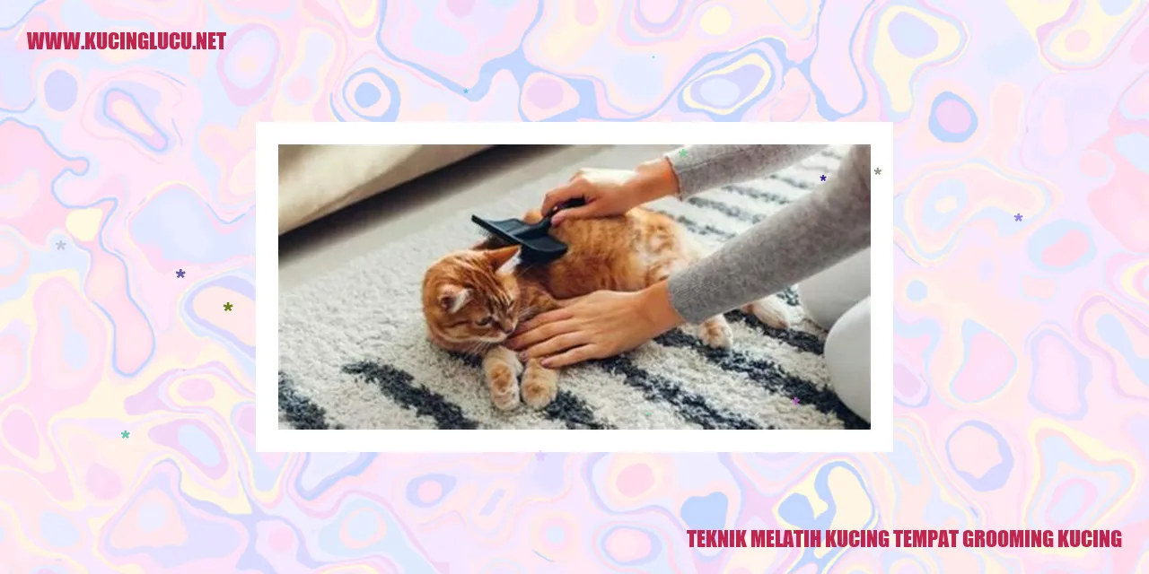 Kucing di tempat grooming