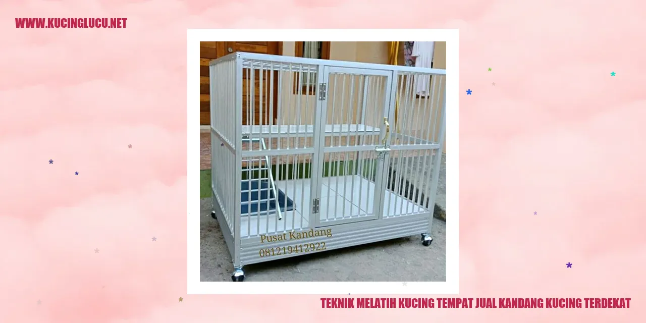 Gambar Kucing yang Menggemaskan