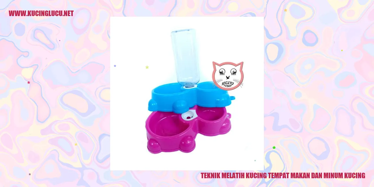 Kucing makan dan minum