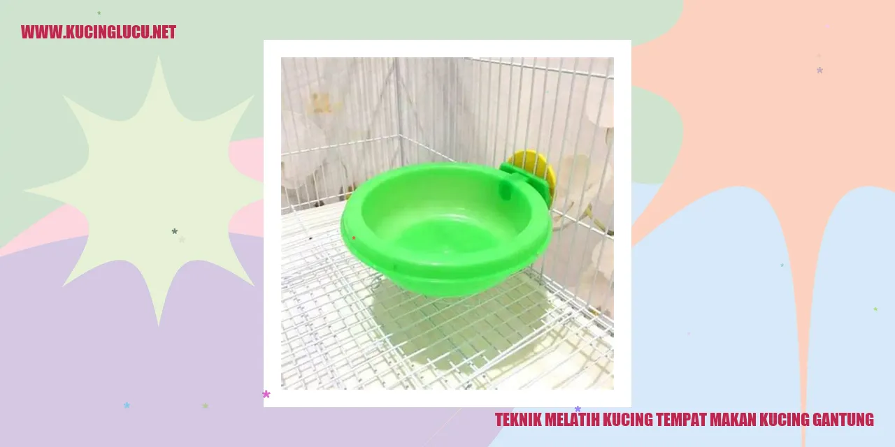 Kucing Makan Gantung