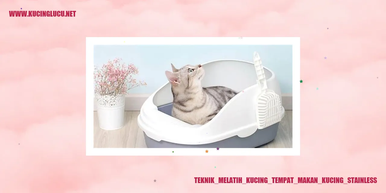 Teknik Melatih Kucing tempat makan kucing stainless
