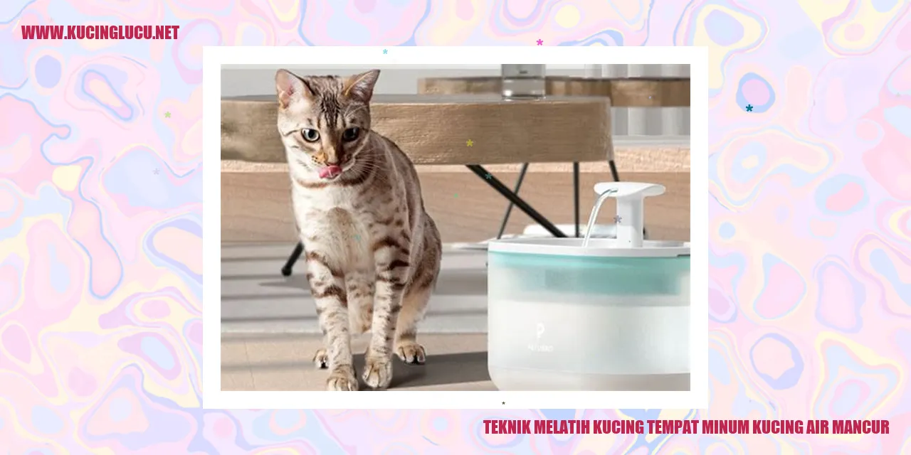 Kucing menikmati minum dari air mancur
