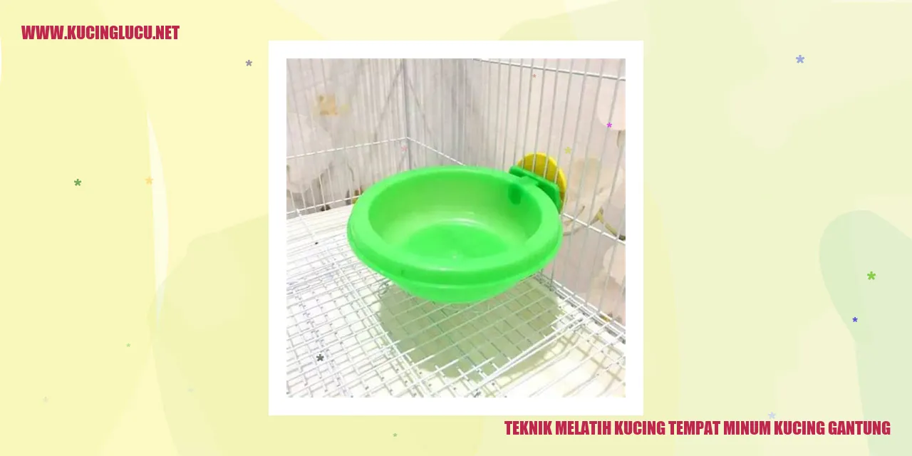 Kucing Minum Gantung